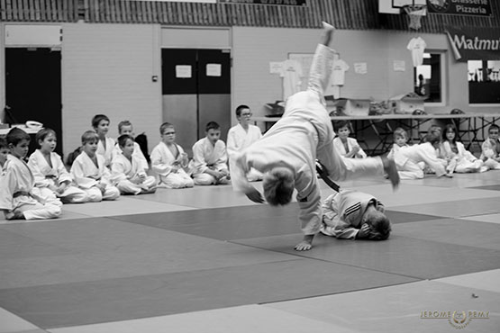 Judo Douvres en fête - photo : Jérôme Rémy